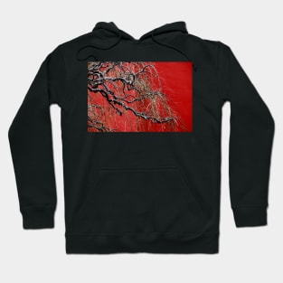 Chinese tree in winter. Hoodie